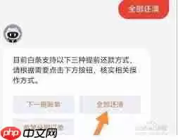 京东白条如何一次还清全部欠款