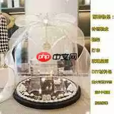 B站哪里能看大片官网入口