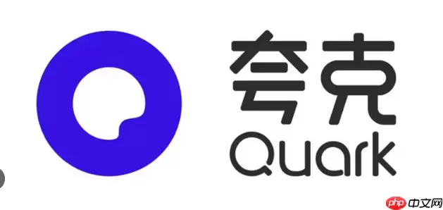 夸克APP手机浏览器中如何快速下载视频和音频文件？