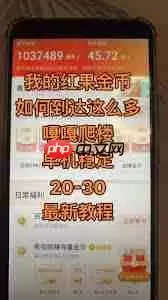 红果金币变少了如何解决