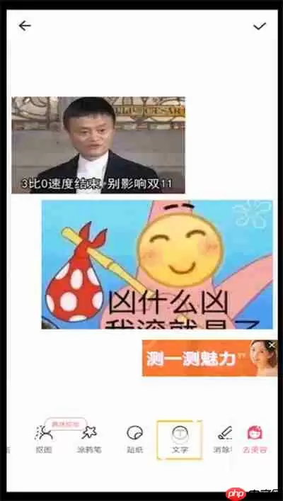 美图秀秀拼图怎么添加文字 添加文字方法