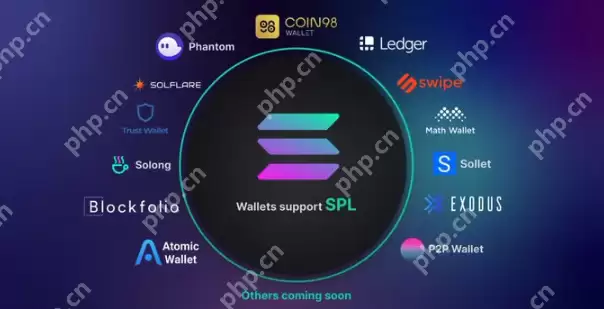 什么是solana币 solana币如何获得或购买 - 本站