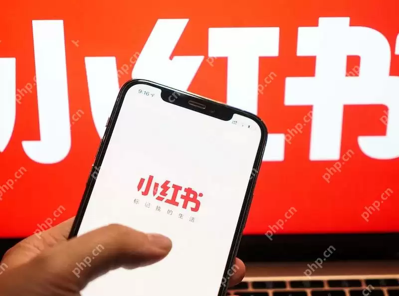 小红书点赞后状态不更新，点赞没生效怎么办？如何刷新状态？ - 游乐网