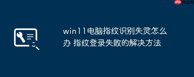 win11电脑指纹识别失灵怎么办 指纹登录失败的解决方法