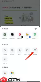狐猴浏览器怎么投屏 狐猴浏览器投屏教程