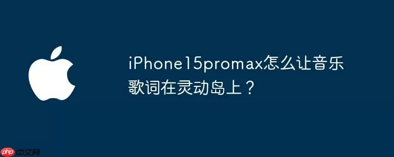 iphone15promax怎么让音乐歌词在灵动岛上?