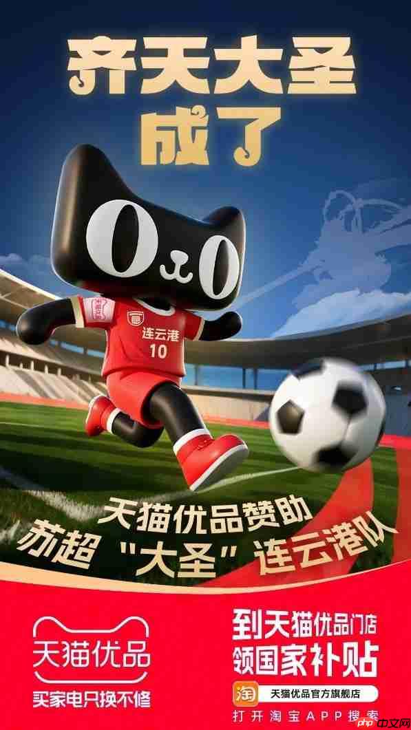 从淘宝闪购到天猫优品  阿里为什么赞助苏超近一半球队