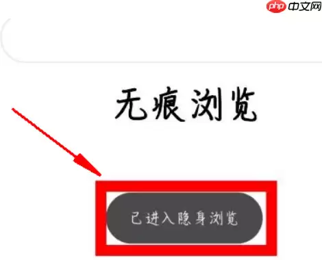 via浏览器怎么无痕浏览 具体操作方法介绍