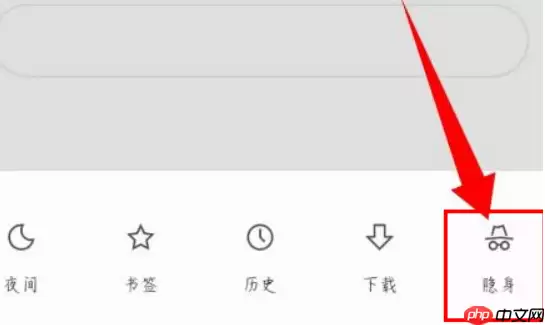 via浏览器怎么无痕浏览 具体操作方法介绍