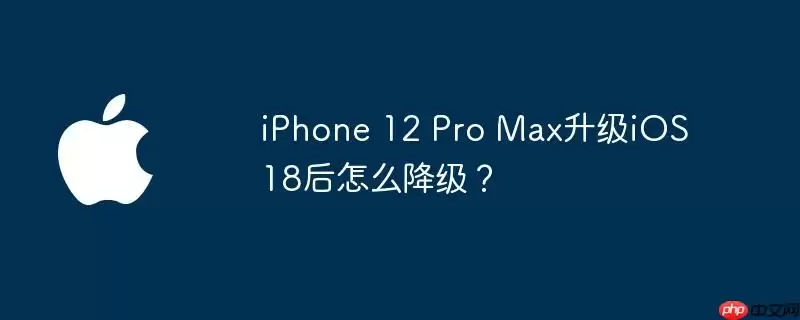 iphone 12 pro max升级ios 18后怎么降级？
