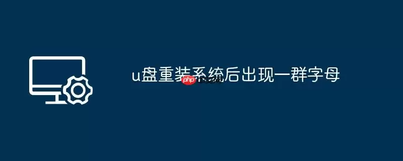 u盘重装系统后出现一群字母