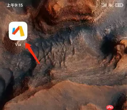 via浏览器怎么换搜索引擎 Via浏览器app切换搜索引擎教程