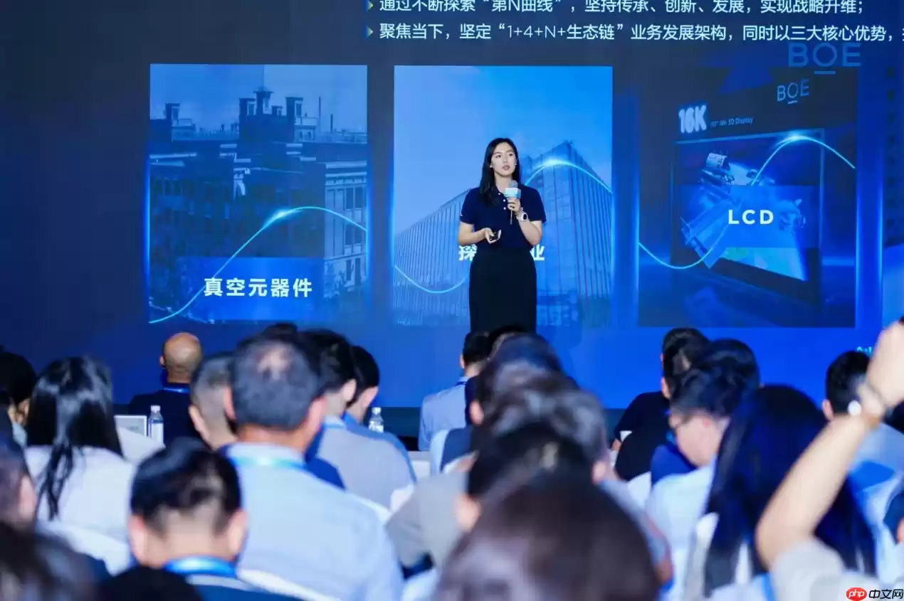 “2025京东方投资者日”在沪举办  资本战略转型开启价值创造新阶段