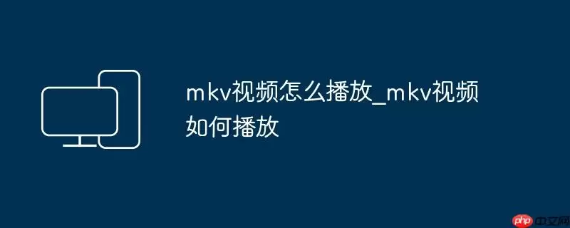 mkv视频怎么播放_mkv视频如何播放