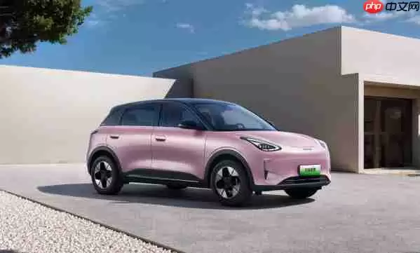 2025年上半年车型销量TOP20揭晓:吉利星愿夺冠