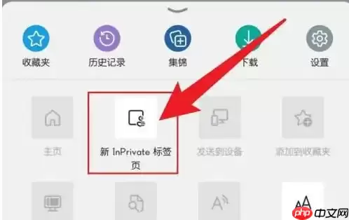 edge浏览器怎么开启无痕模式 Edge app设置无痕浏览方法