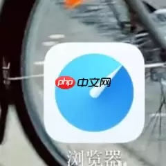 vivo浏览器怎么设置简洁版 vivo浏览器改成极简主页方法介绍