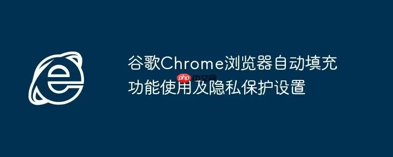 谷歌Chrome浏览器自动填充功能使用及隐私保护设置
