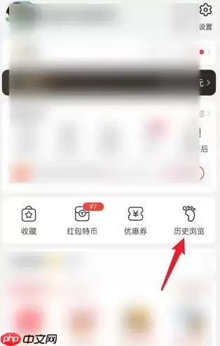 淘特购物如何操作 淘特查看历史浏览操作步骤