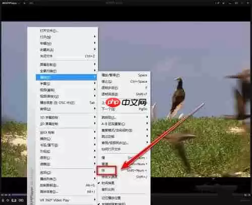 kmplayer plus如何加速?kmplayer plus加速的操作方法