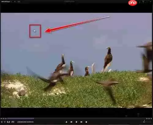 kmplayer plus如何加速?kmplayer plus加速的操作方法