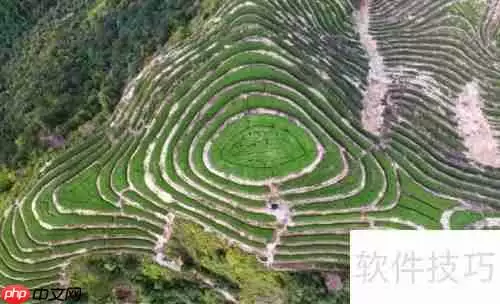 跟团旅游和自助旅游，哪种方式更适合你？