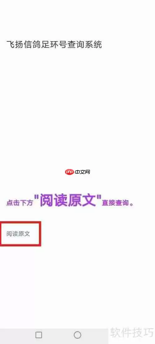 飞扬足环成绩查询方法