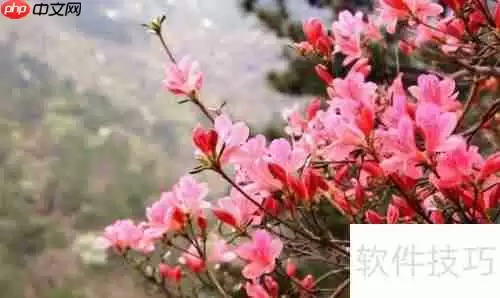 掌握跳绳双摇技巧，提升有氧运动效率！