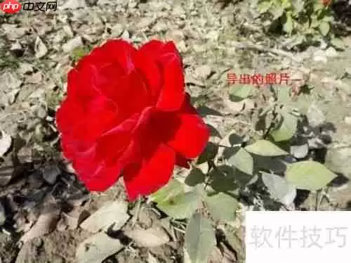 用360手机助手电脑版导出手机照片的方法