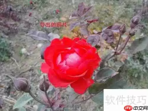 用360手机助手电脑版导出手机照片的方法