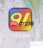 iPad下载91助手的方法