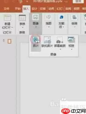 PPT中如何快速实现图片批量排版？