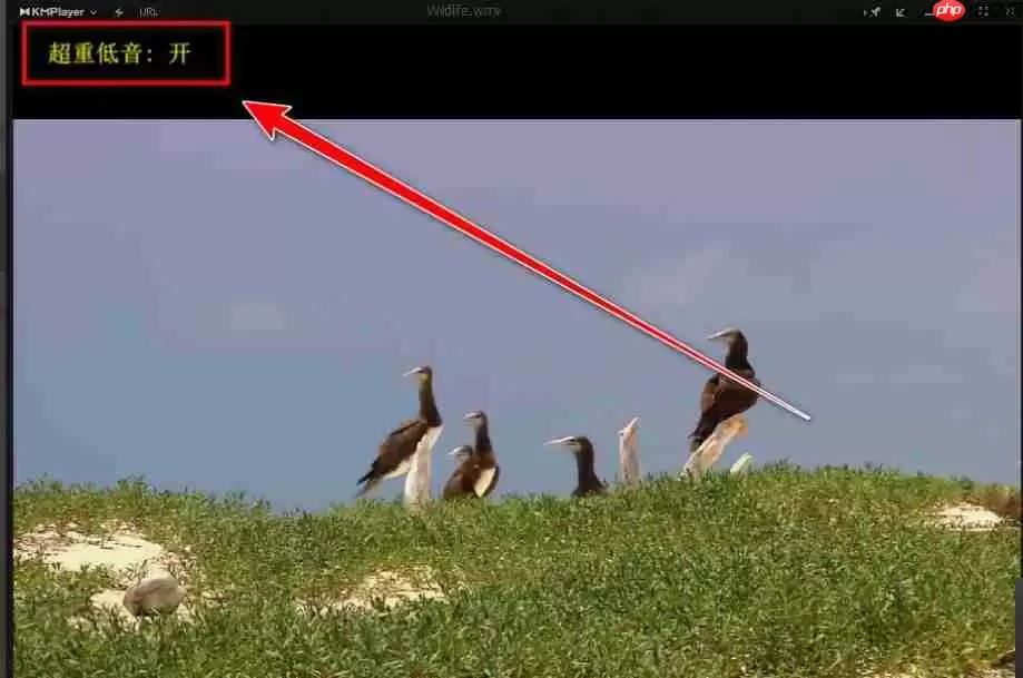 kmplayer怎么开启重低音？-kmplayer开启重低音的方法