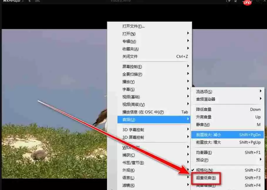 kmplayer怎么开启重低音？-kmplayer开启重低音的方法
