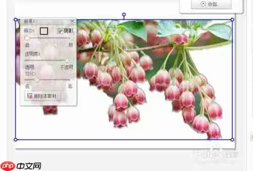 美图秀秀怎么办背景弄成白色具体操作流程