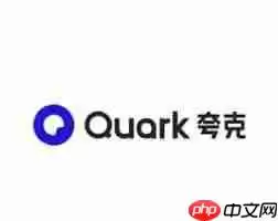 夸克会员为何不能流畅播放