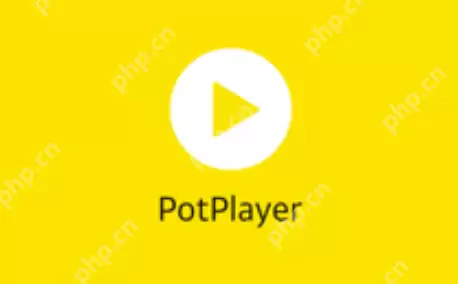 视频播放器有哪些？海内外高清视频播放器前十名盘点 - 游乐网