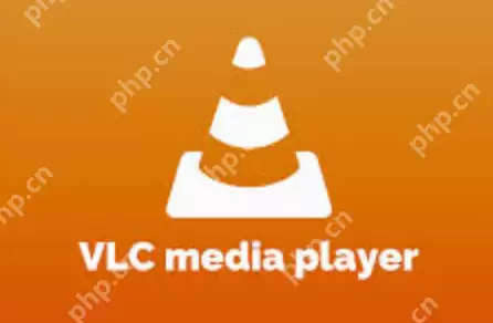 永久免费观看视频播放器软件前十名榜单汇总(欧美电影在线观看) - 游乐网