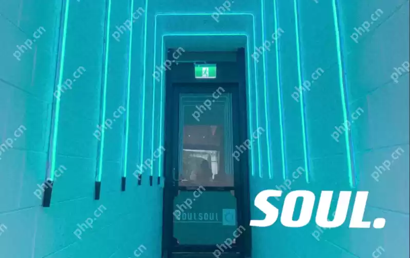 Soul 怎么设置聊天背景？Soul 设置聊天背景指南 - 游乐网