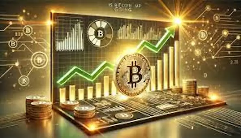 比特币价格突破12万美元，市场情绪持续火爆 - 菜鸟下载