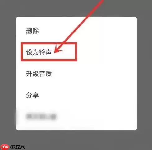 DJ多多怎么设置成铃声 DJ多多设置铃声方法