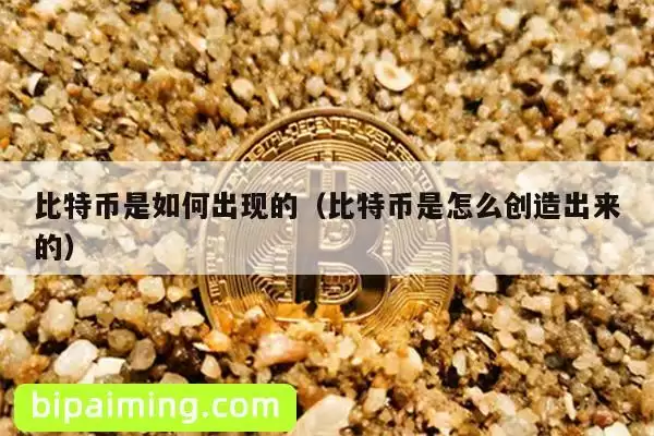 比特币是如何出现的（比特币是怎么创造出来的）