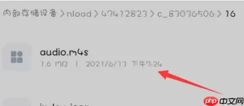 哔哩哔哩视频怎么提取音频 具体操作方法介绍