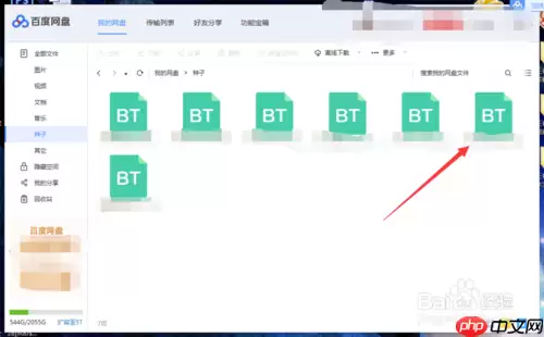 百度云怎么解析种子文件 百度云解析种子文件教程