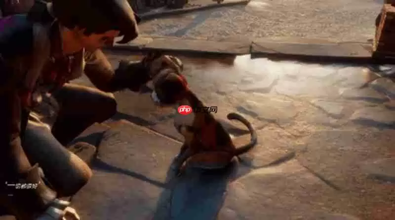 遗忘之海英文名是什么 遗忘之海英文名称详解