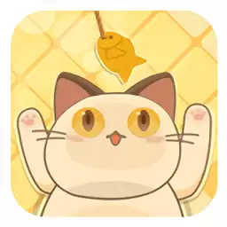 开心斗猫猫