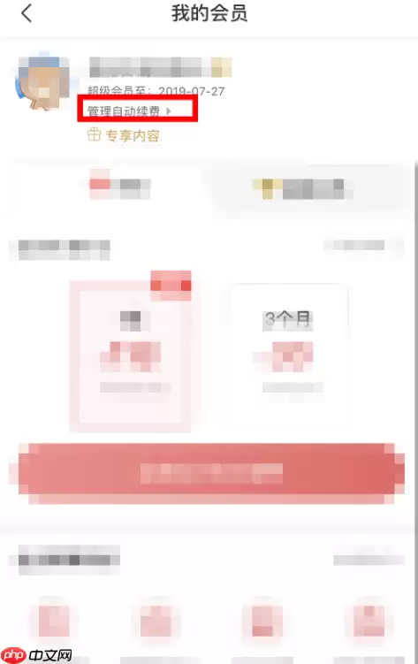 百度网盘如何取消会员自动续费 百度网盘取消自动续费的方法