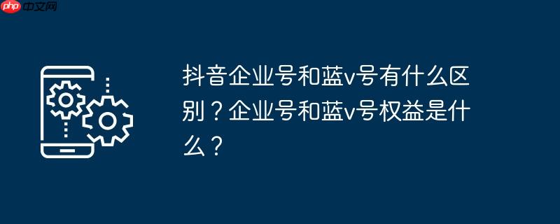 抖音企业号和蓝v号有什么区别？企业号和蓝v号权益是什么？