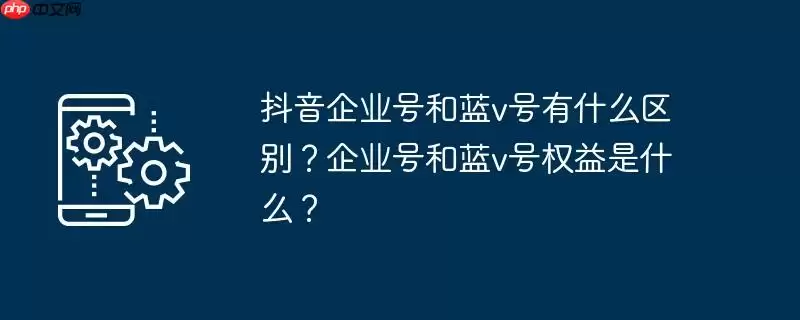 抖音企业号和蓝v号有什么区别？企业号和蓝v号权益是什么？