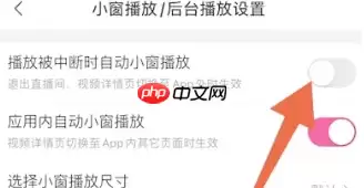 哔哩哔哩为什么锁屏后还在播放 哔哩哔哩关闭锁屏后继续播放教程